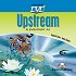 Upstream Elementary A2 (1st Edition) - DVD Video (PAL)